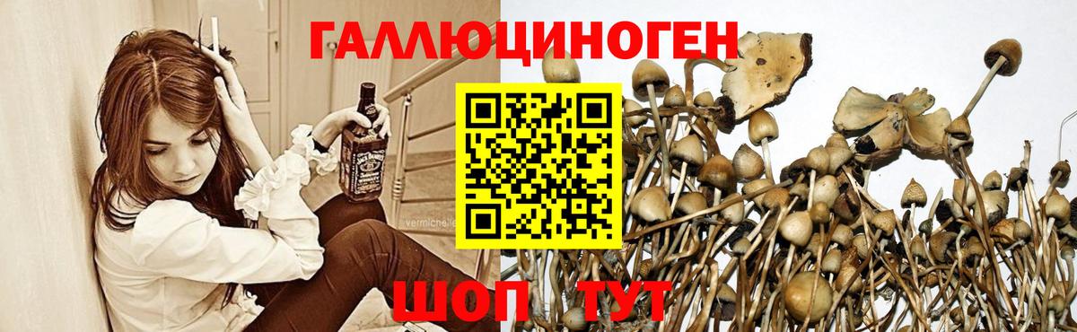 Псилоцибиновые грибы прущие грибы Жуковский
