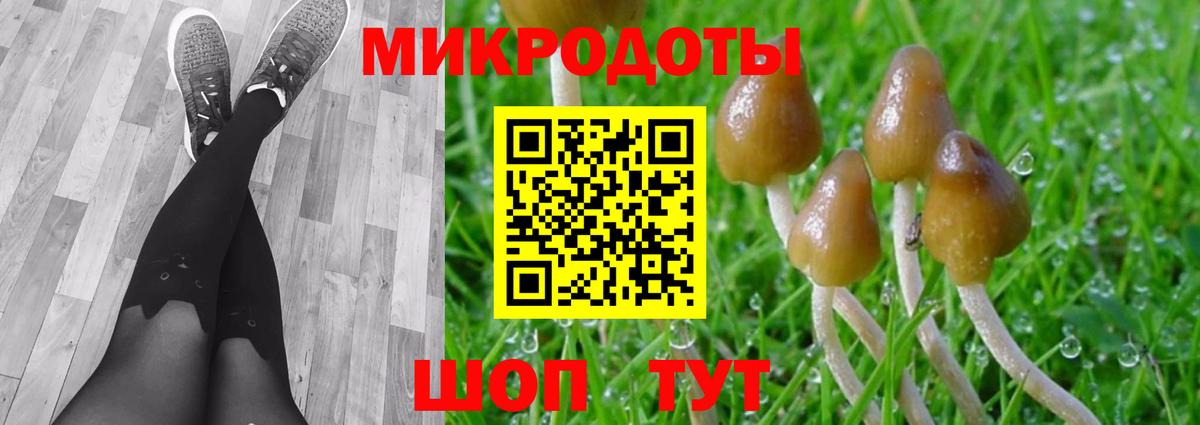 Жуковский  Псилоцибиновые грибы GOLDEN TEACHER  Вход с VPN 